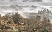 23 SEPTEMBER MISTS by Patricia Jones HIGHLY COMMENDED